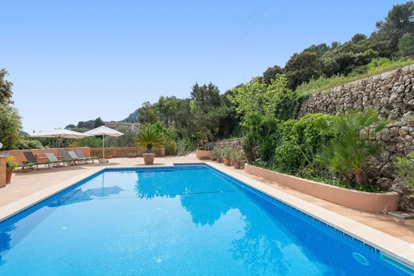 Una piscina al aire libre está rodeada por una terraza pavimentada y vegetación.