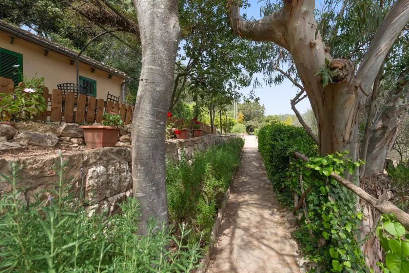 Un sendero de jardín pasa entre plantas y árboles junto a un muro bajo de piedra.