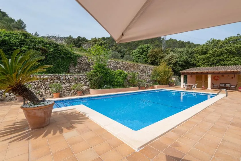 Una piscina al aire libre está junto a un patio embaldosado y vegetación frondosa.