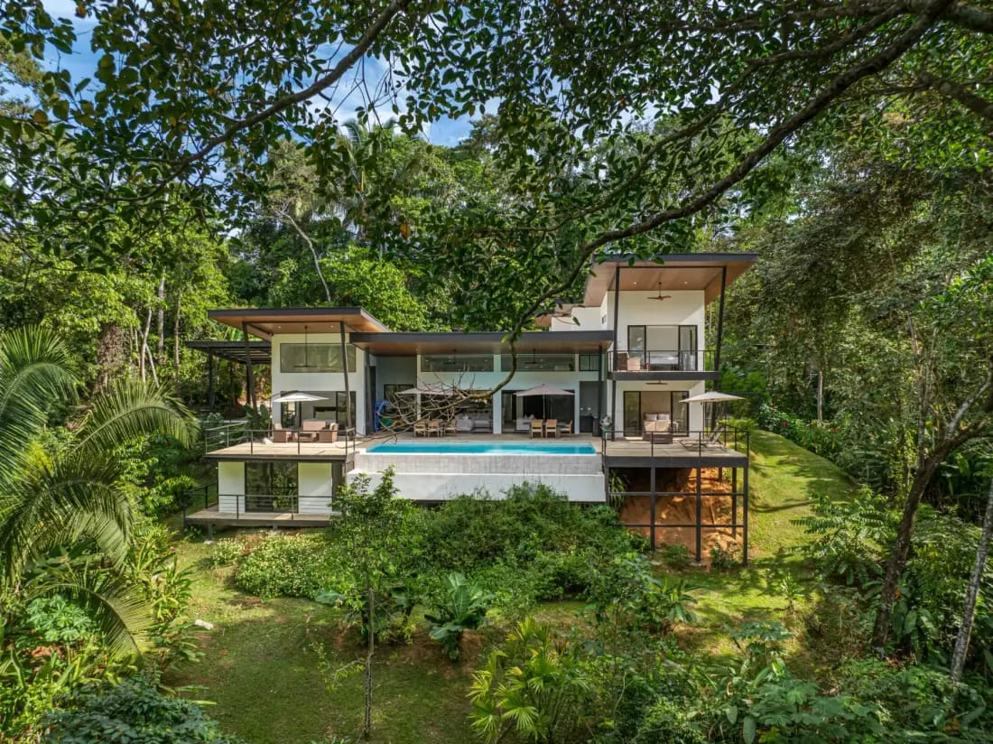 Casa Arbol