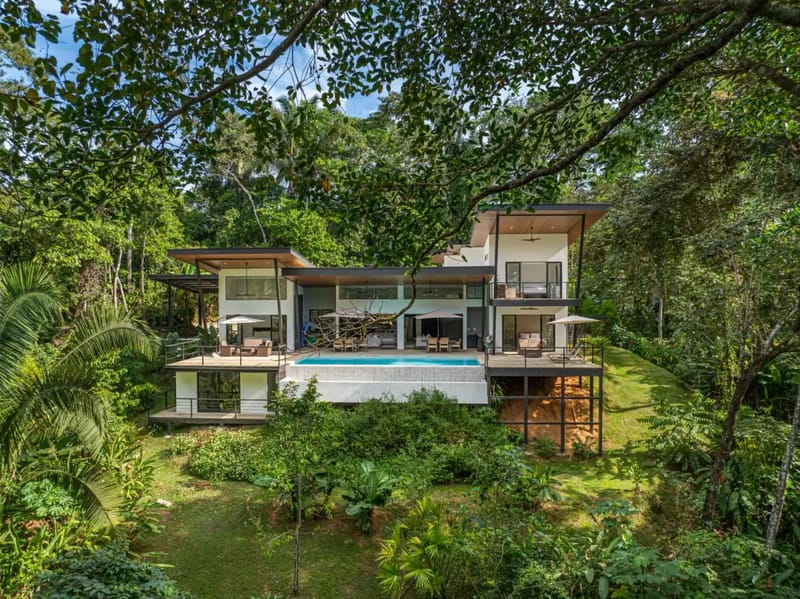 Casa Arbol
