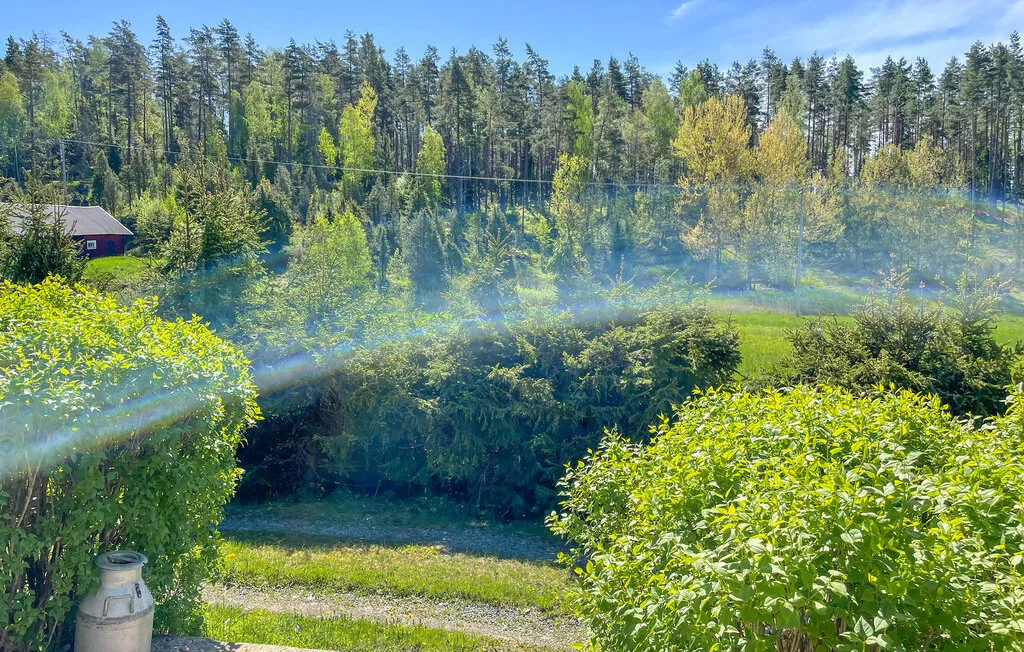 Un jardín con arbustos verdes y árboles bajo un cielo azul despejado.