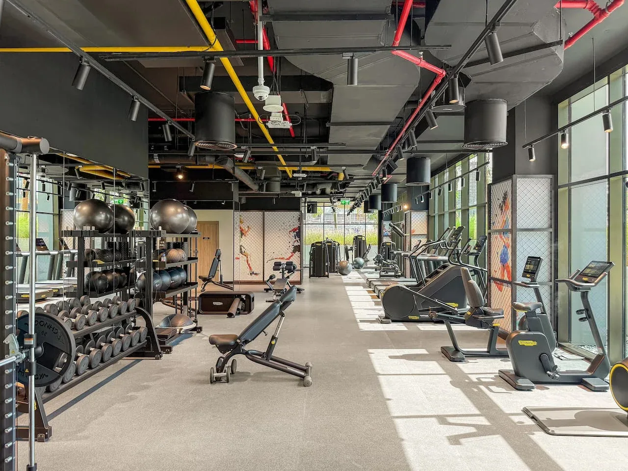 A spacious gym with exercise machines and weight racks beside large windows.