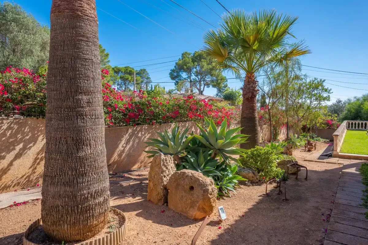 A sunny garden path runs past palm trees, flowering shrubs, and desert plants.