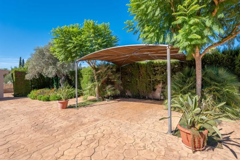 A paved outdoor patio with a curved canopy and surrounding plants.