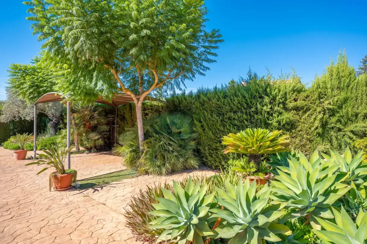 A landscaped garden with a paved path, leafy plants, and a shade structure.