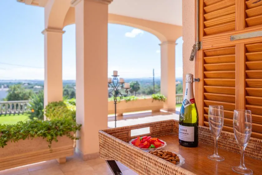 A covered terrace with a table, glasses, and a view of the landscape.