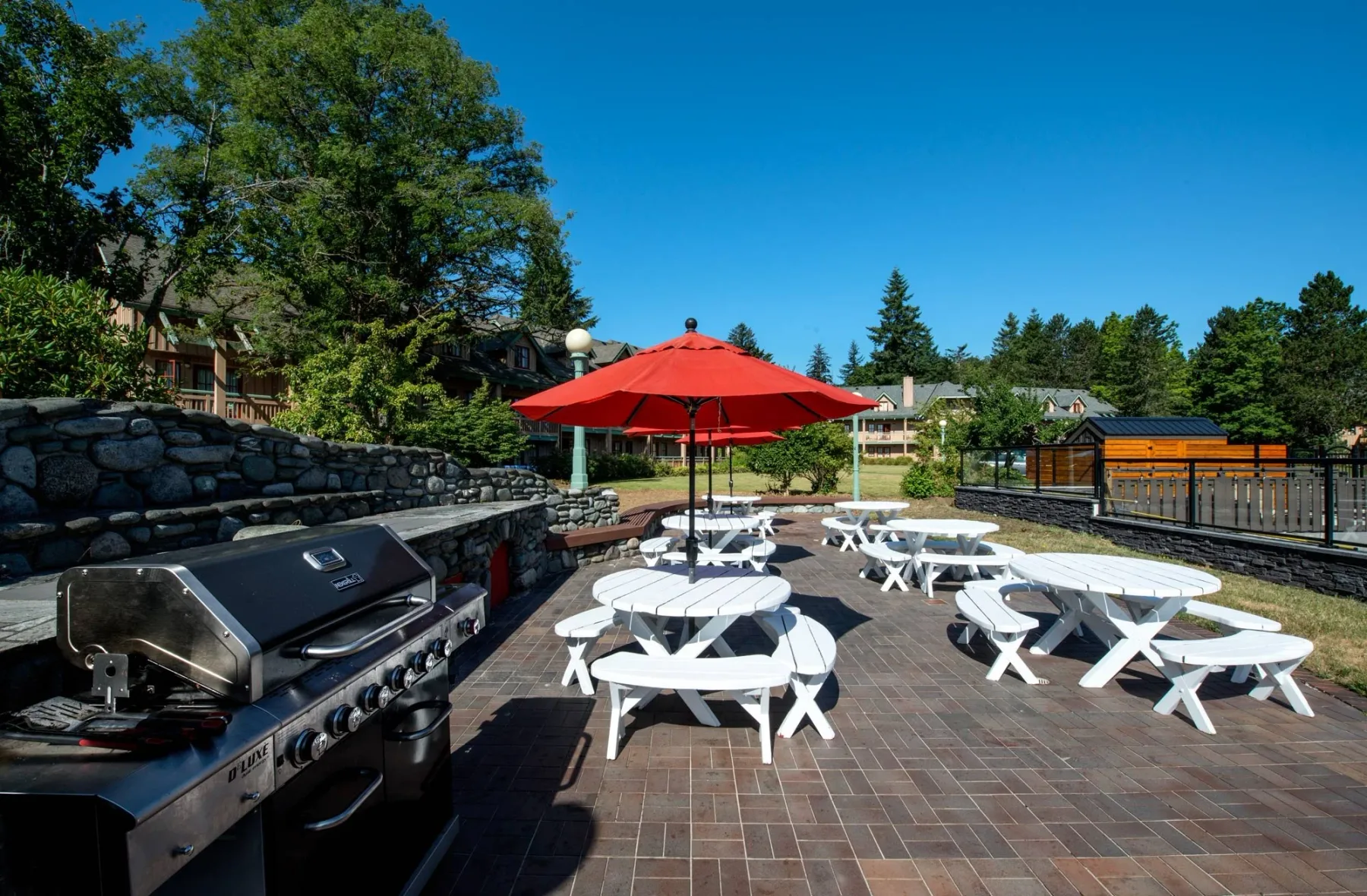 Outdoor courtyard and BBQ area