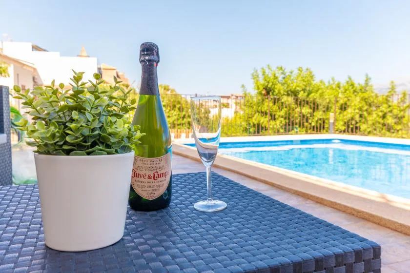 Una mesa junto a la piscina sostiene una planta en maceta, una botella y una copa.