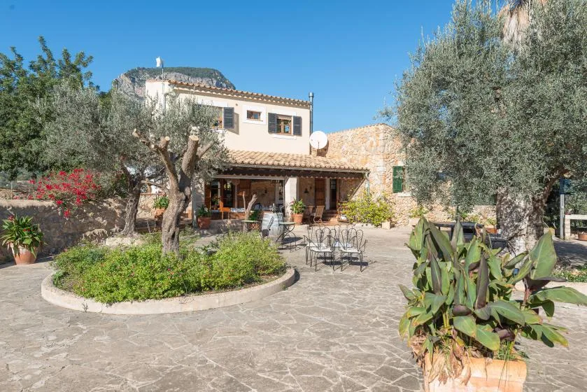 A stone-paved outdoor patio with tables, plants, and a building behind it.