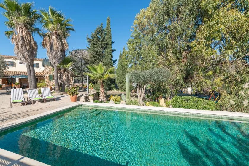 An outdoor swimming pool beside a landscaped garden and palm trees.