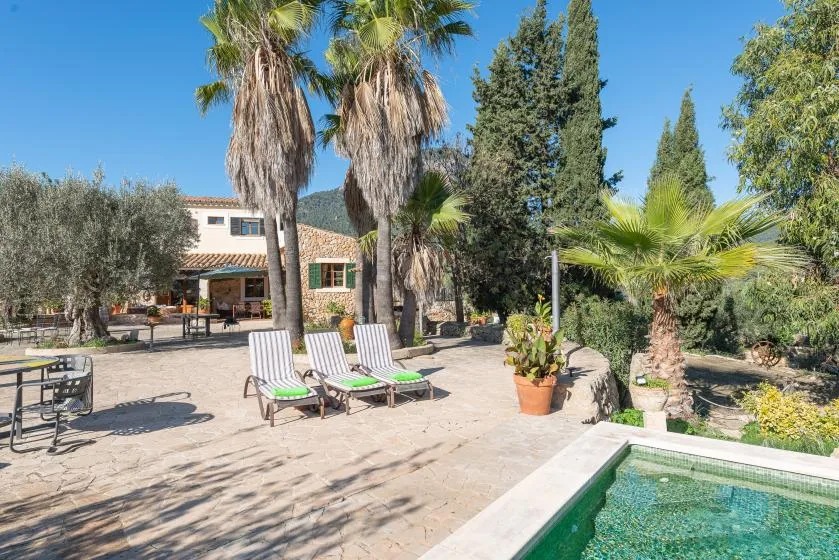 A sunny outdoor patio with lounge seating beside a swimming pool and surrounding trees.