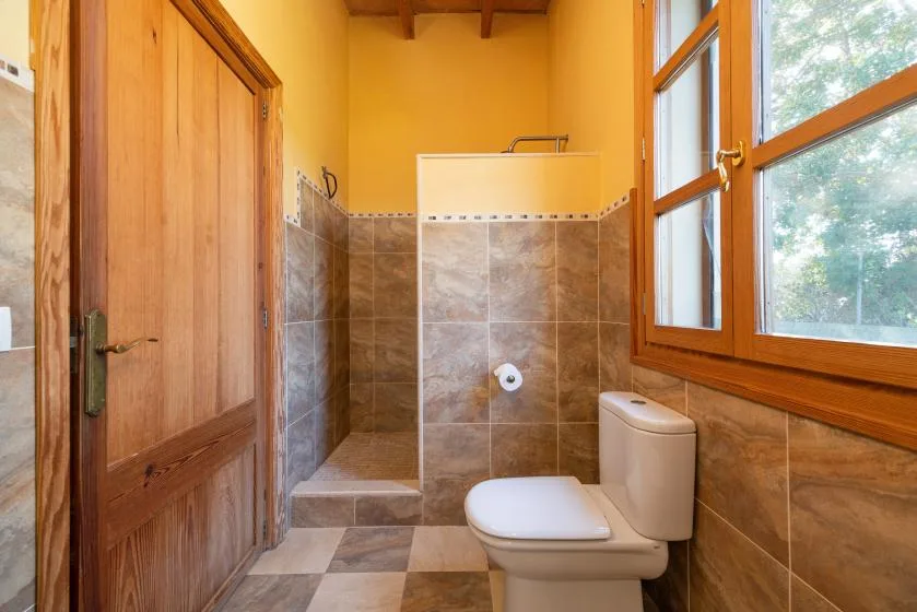 A bathroom with a tiled shower area and a toilet beside a large window.