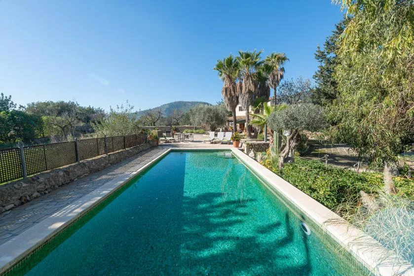 An outdoor swimming pool surrounded by greenery, with seating at the far end.