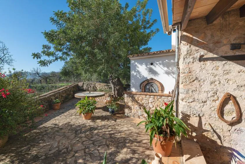 A sunny stone patio with potted plants and a large leafy tree.
