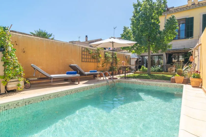 Una piscina al aire libre junto a un patio con tumbonas y plantas en macetas.