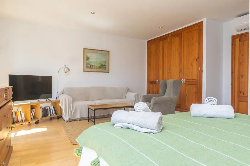 Una sala luminosa con una cama cubierta de verde, asientos y un televisor.