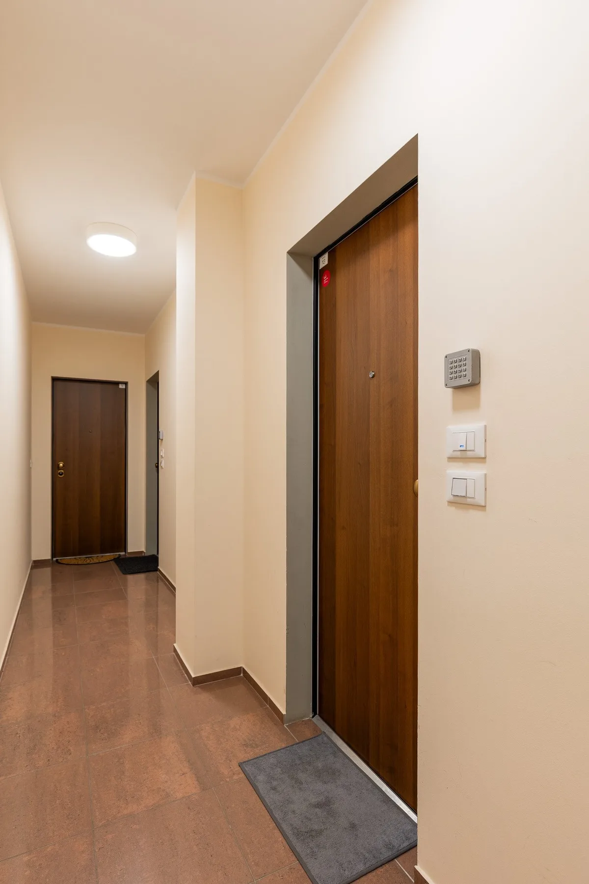 Un pasillo con puertas de madera y un tapete gris junto a la puerta más cercana.