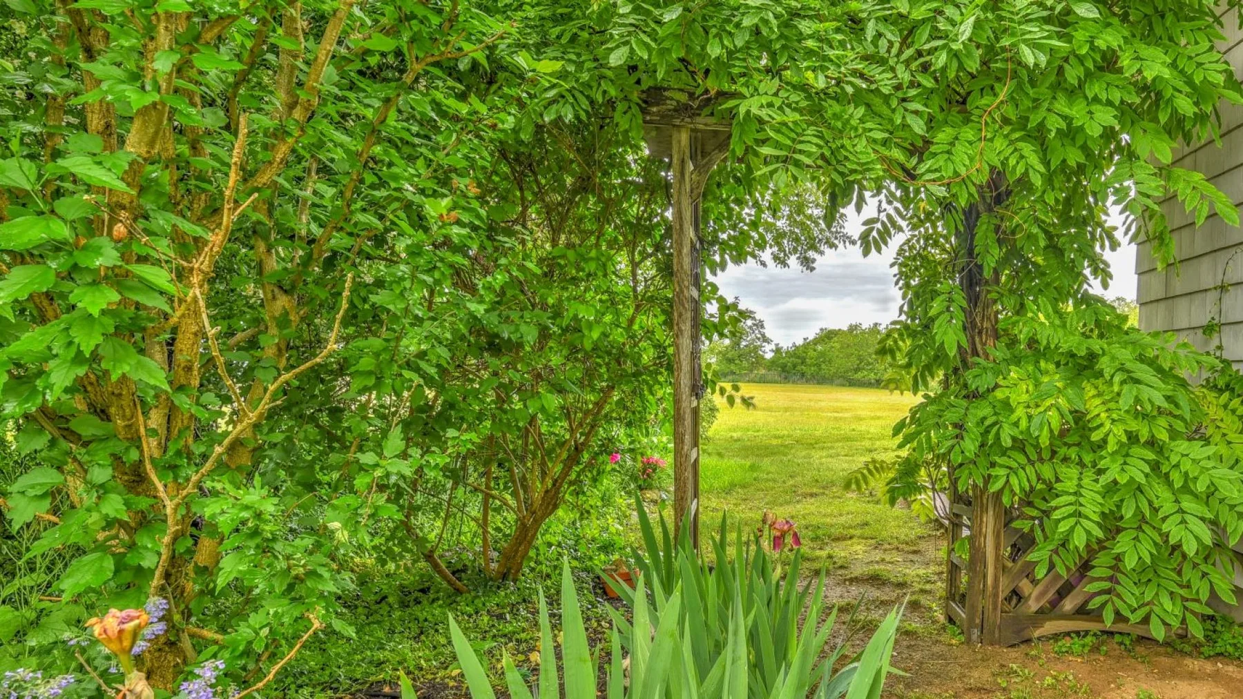 A leafy garden archway opens onto a grassy field.