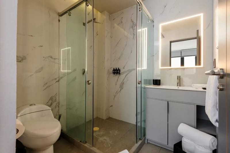 Brigh 1BR in Polanco