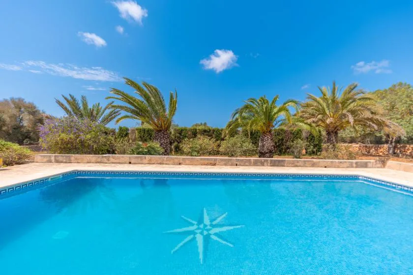 A swimming pool with a compass design on the bottom, surrounded by palm trees.