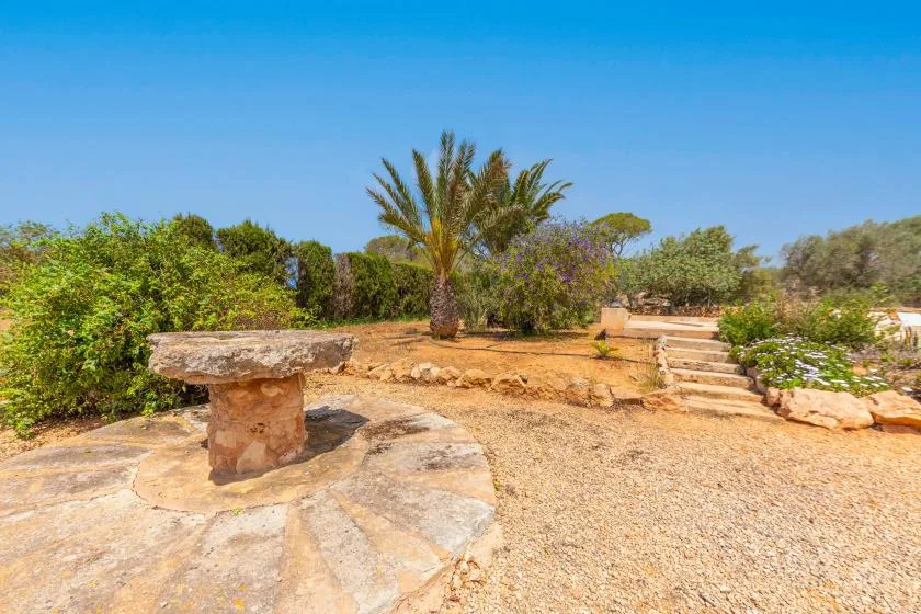 A sunny garden courtyard with a stone table, palm tree, and steps.