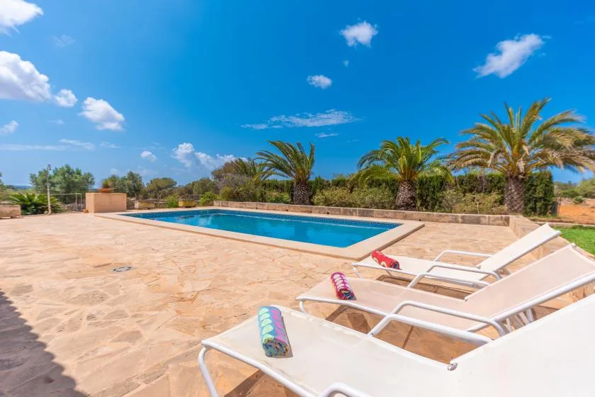 An outdoor swimming pool sits beside a wide paved deck with lounge seating.