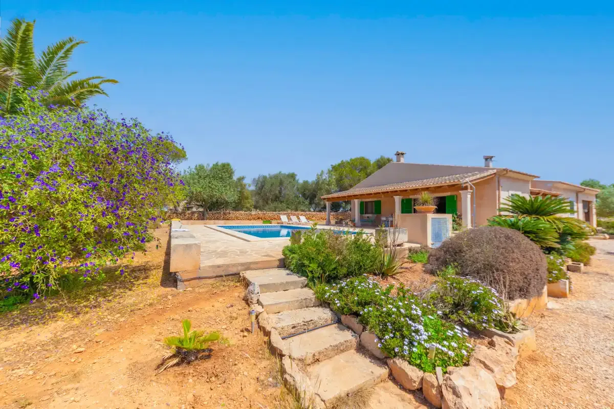 A house and swimming pool sit among flowering shrubs in a sunny garden.