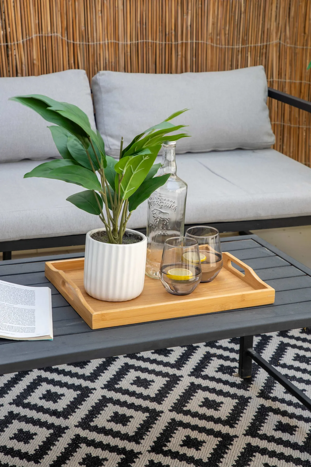 Una zona de estar amueblada con una planta frondosa y bebidas sobre una mesa de centro.