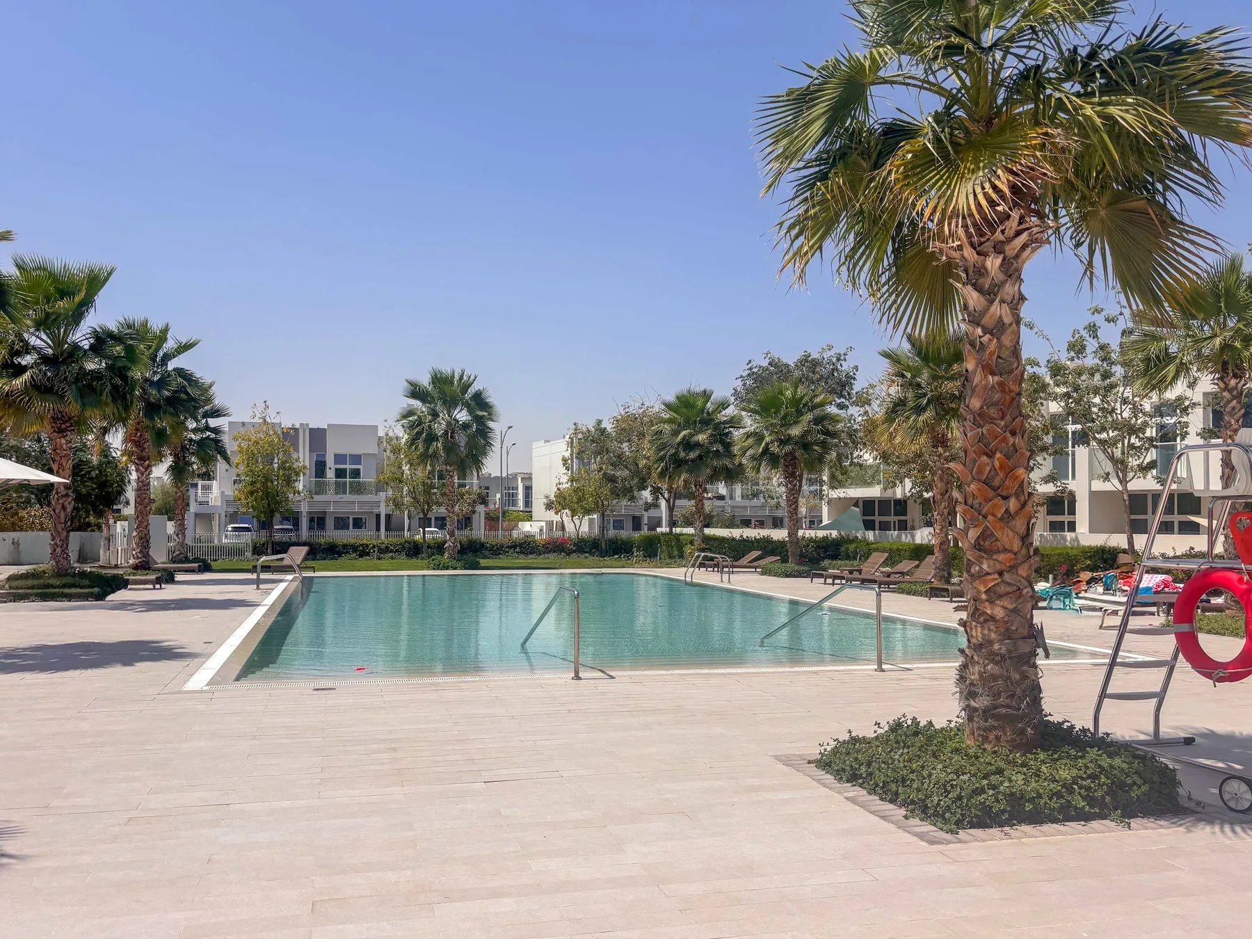 Una piscina al aire libre rodeada de palmeras y una zona pavimentada.