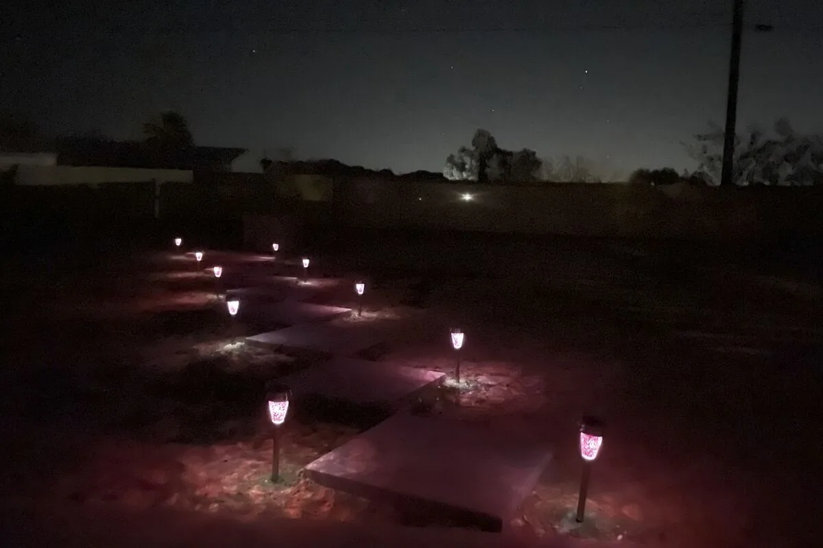 Desert Wonder