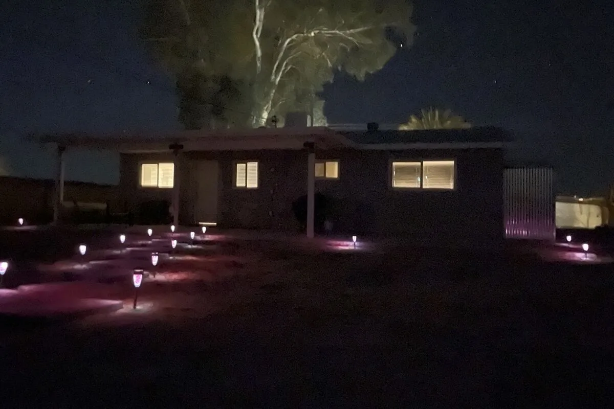 Desert Wonder