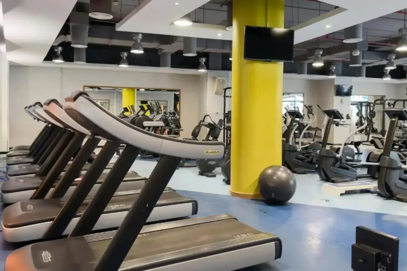 A gym with rows of treadmills and other exercise machines.