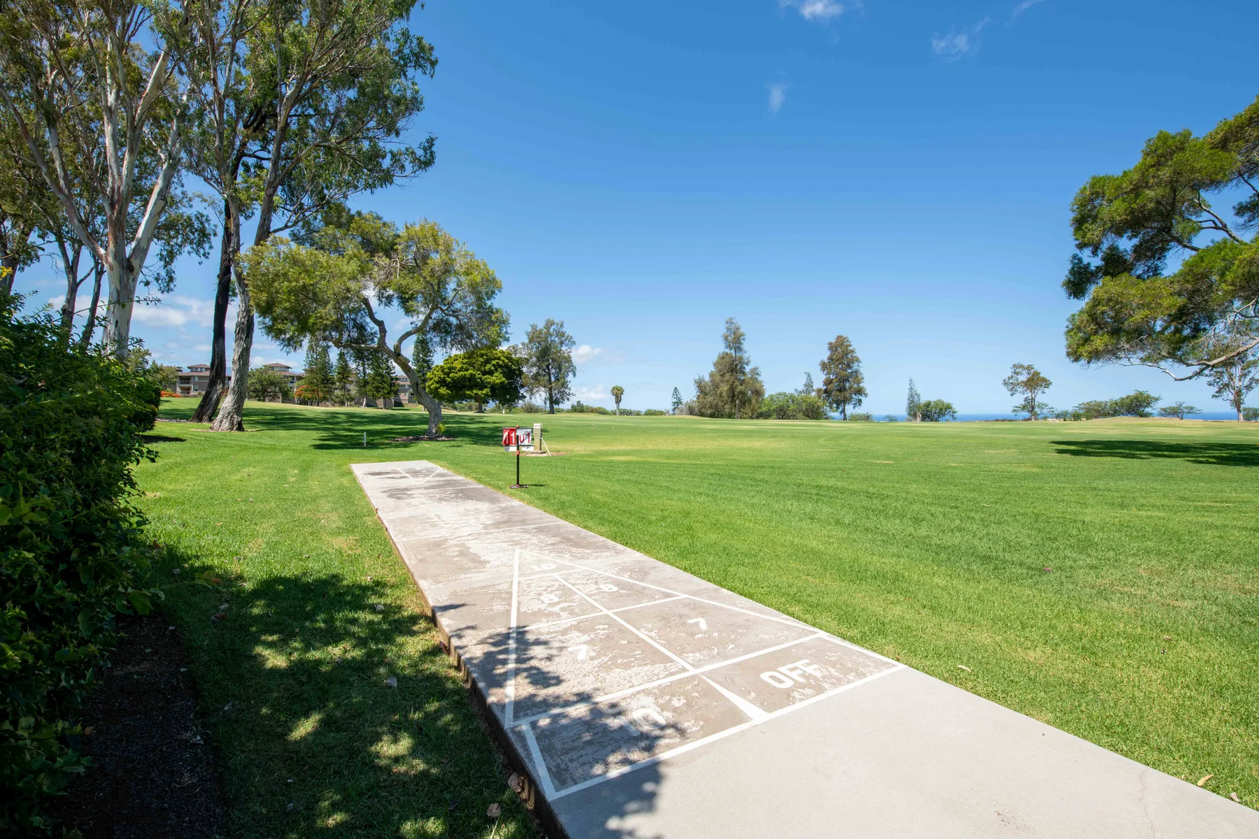 A grassy outdoor recreation area has a marked court beneath a clear blue sky.