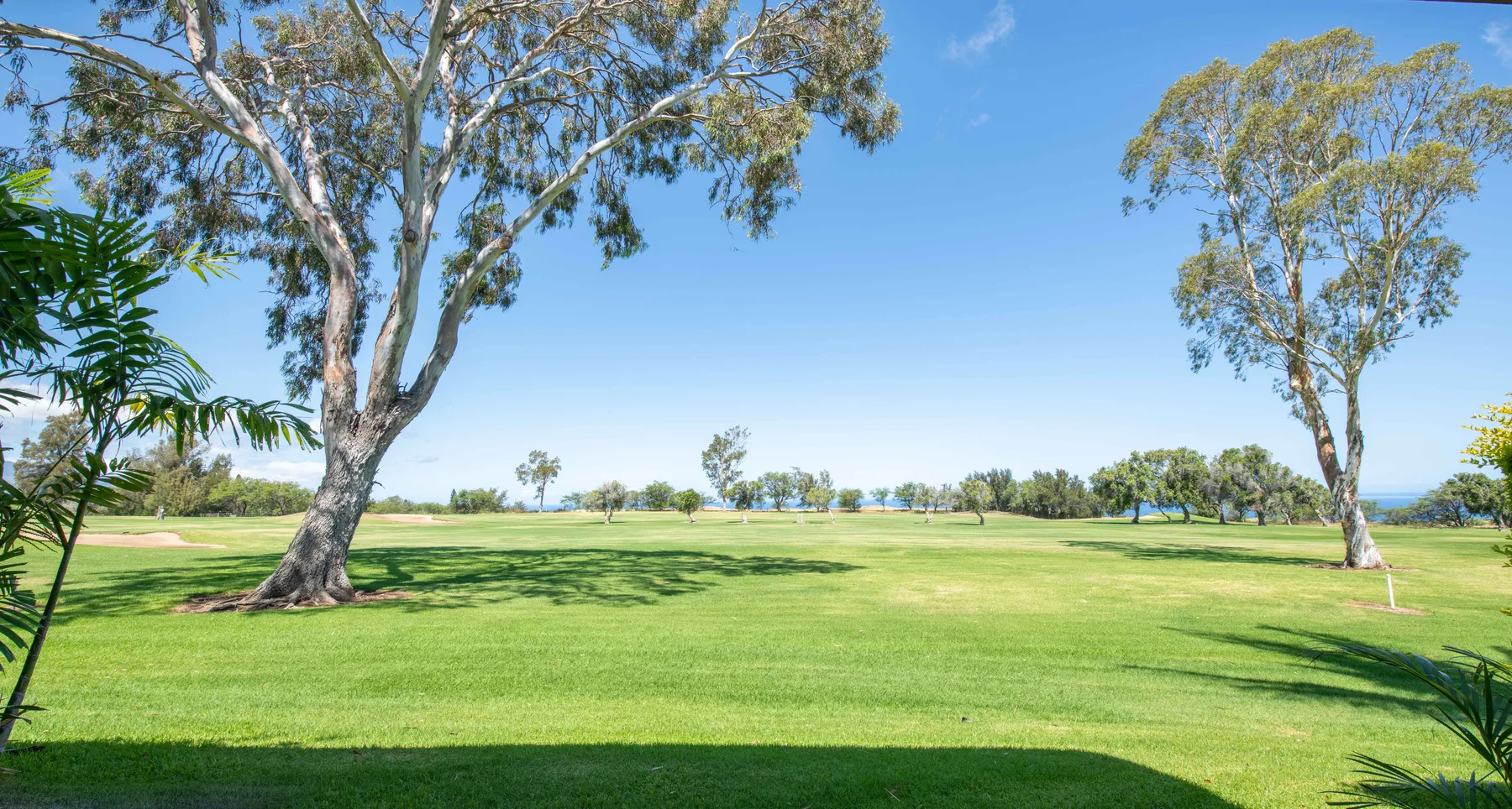 A broad green lawn stretches between scattered trees beneath a clear blue sky.