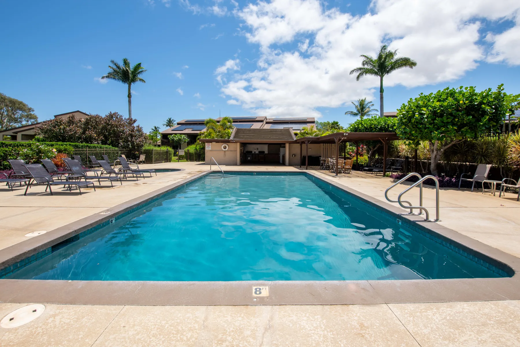 An outdoor swimming pool is surrounded by lounge chairs, greenery, and palm trees.