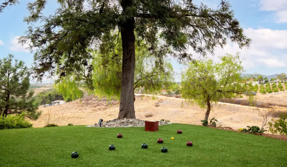 A landscaped lawn with scattered bocce balls beneath a large tree.