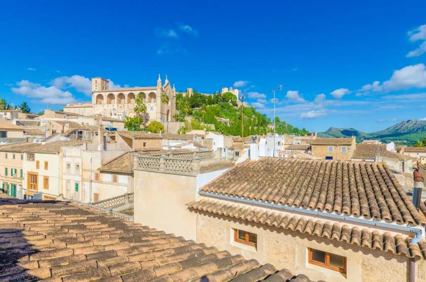 Un pueblo en una colina con tejados de tejas y un gran edificio de piedra en lo alto.