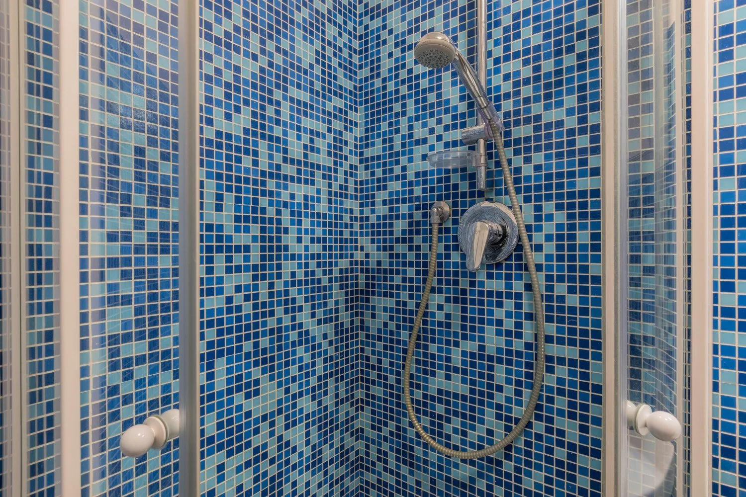 Una ducha con azulejos, ducha de mano y manguera.