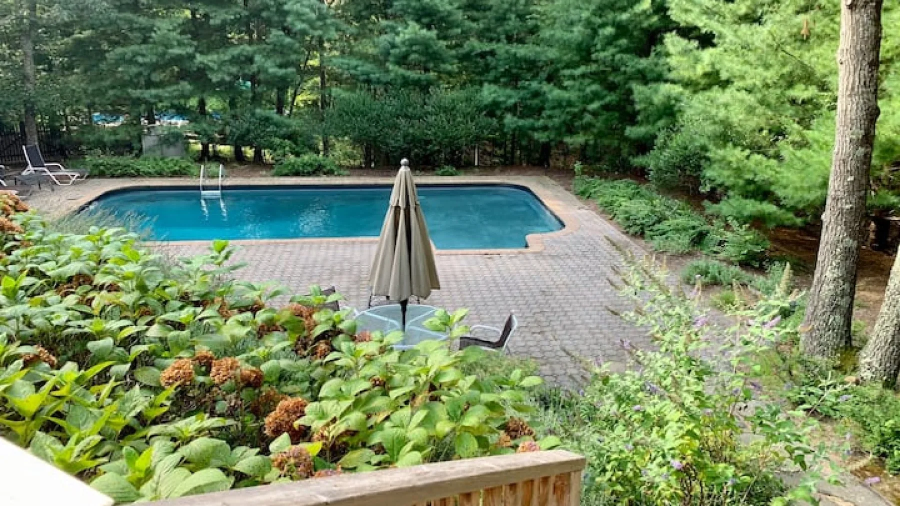 Una piscina al aire libre está junto a un patio pavimentado y rodeada de vegetación.