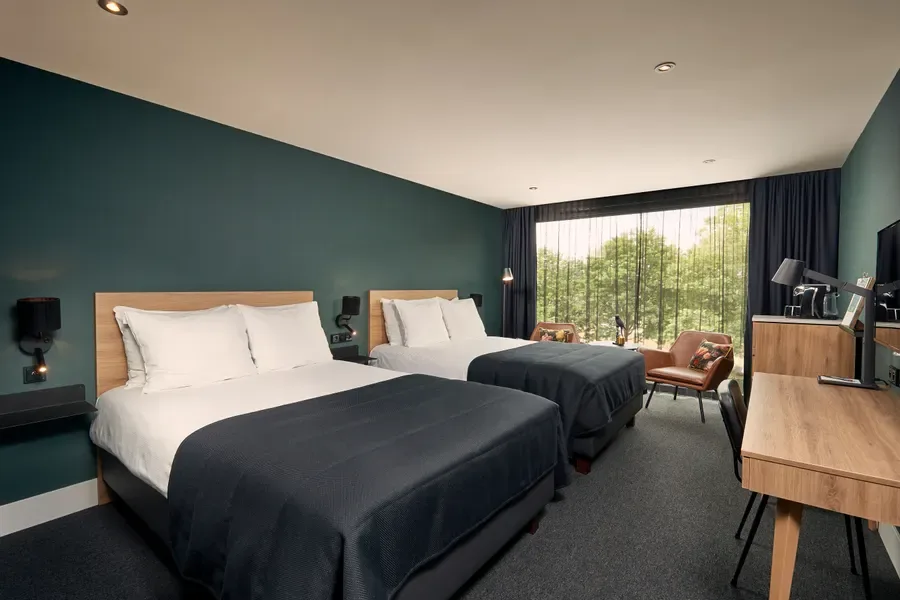 Habitación Deluxe con dos camas individuales