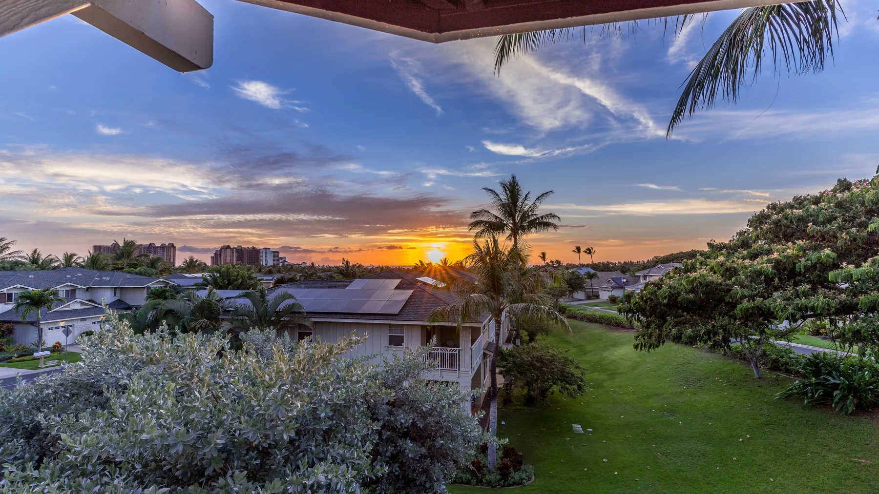 A sunset view over a green residential landscape with palm trees and rooftops.