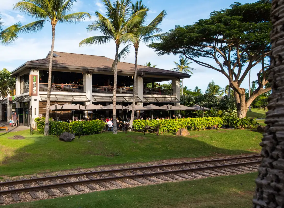 A raised open-air restaurant stands among palm trees beside a grassy lawn.