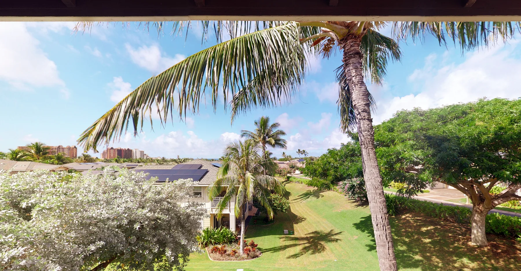 A landscaped garden with palm trees, flowering shrubs, and a grassy lawn.