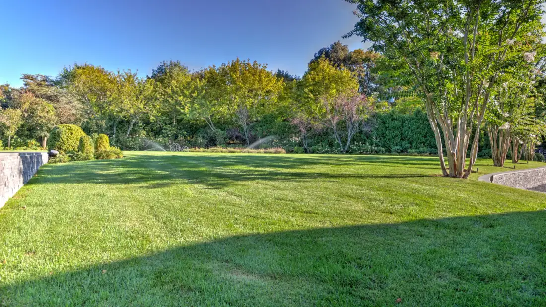 A broad green lawn bordered by trees and shrubs.