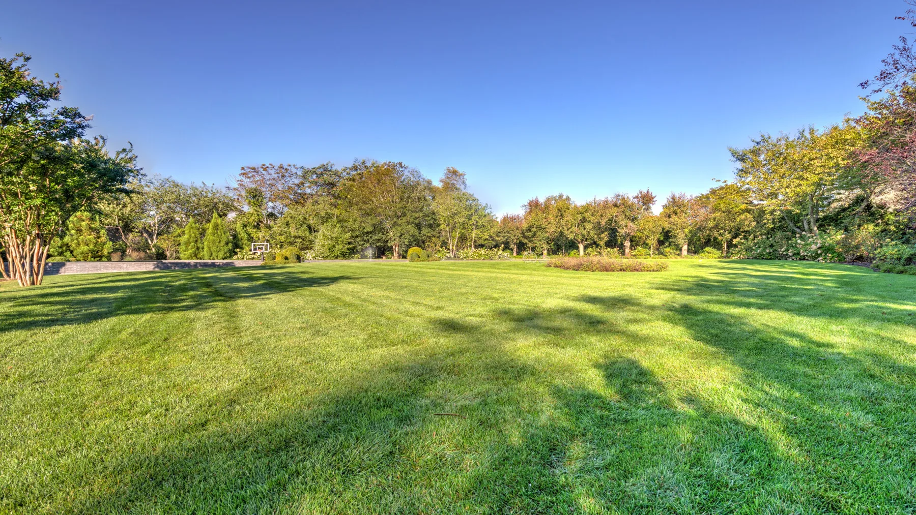 A broad grassy lawn is surrounded by trees beneath a clear blue sky.