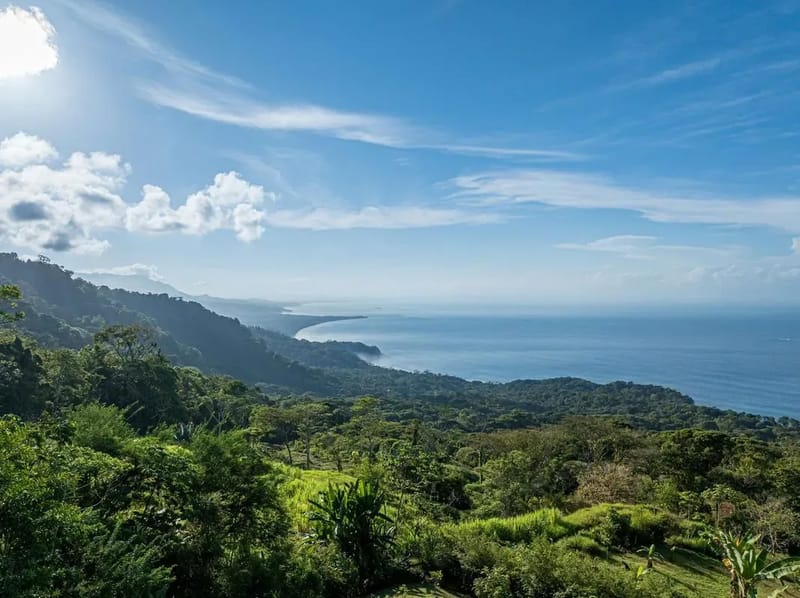 Luxury 3BR Rainforest Villa w/ Oceanview Pool