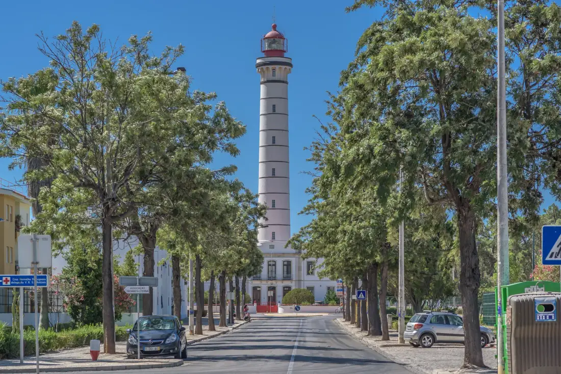 Una calle arbolada conduce hacia un faro alto bajo un cielo azul despejado.