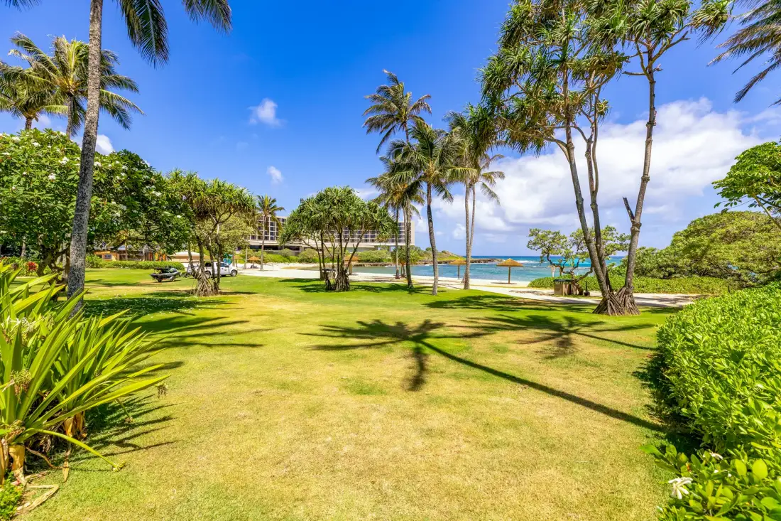 A sunny landscaped lawn with palm trees and the ocean in the background.