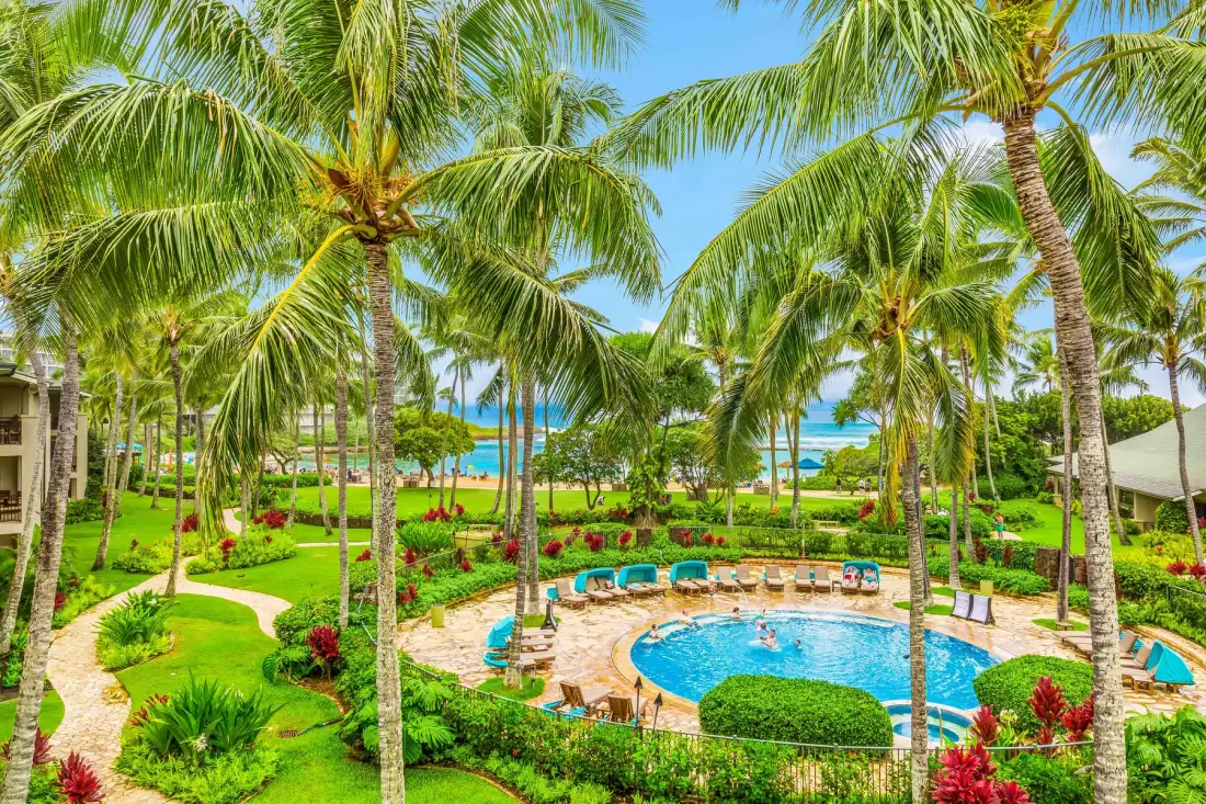A tropical resort pool sits among palm trees and landscaped gardens.